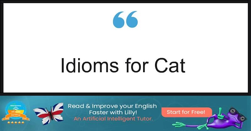 Cat Idioms with meaning and sentence